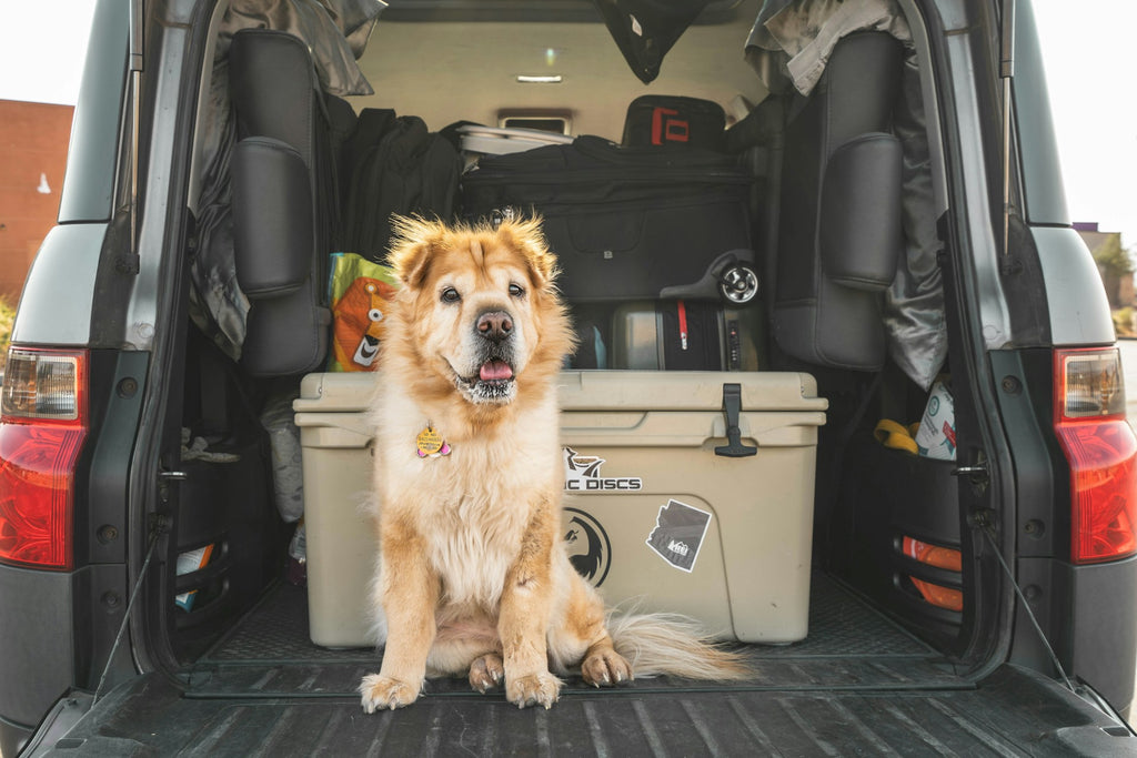 Optimizing Car Storage Solutions for Road Trips and Everyday Use